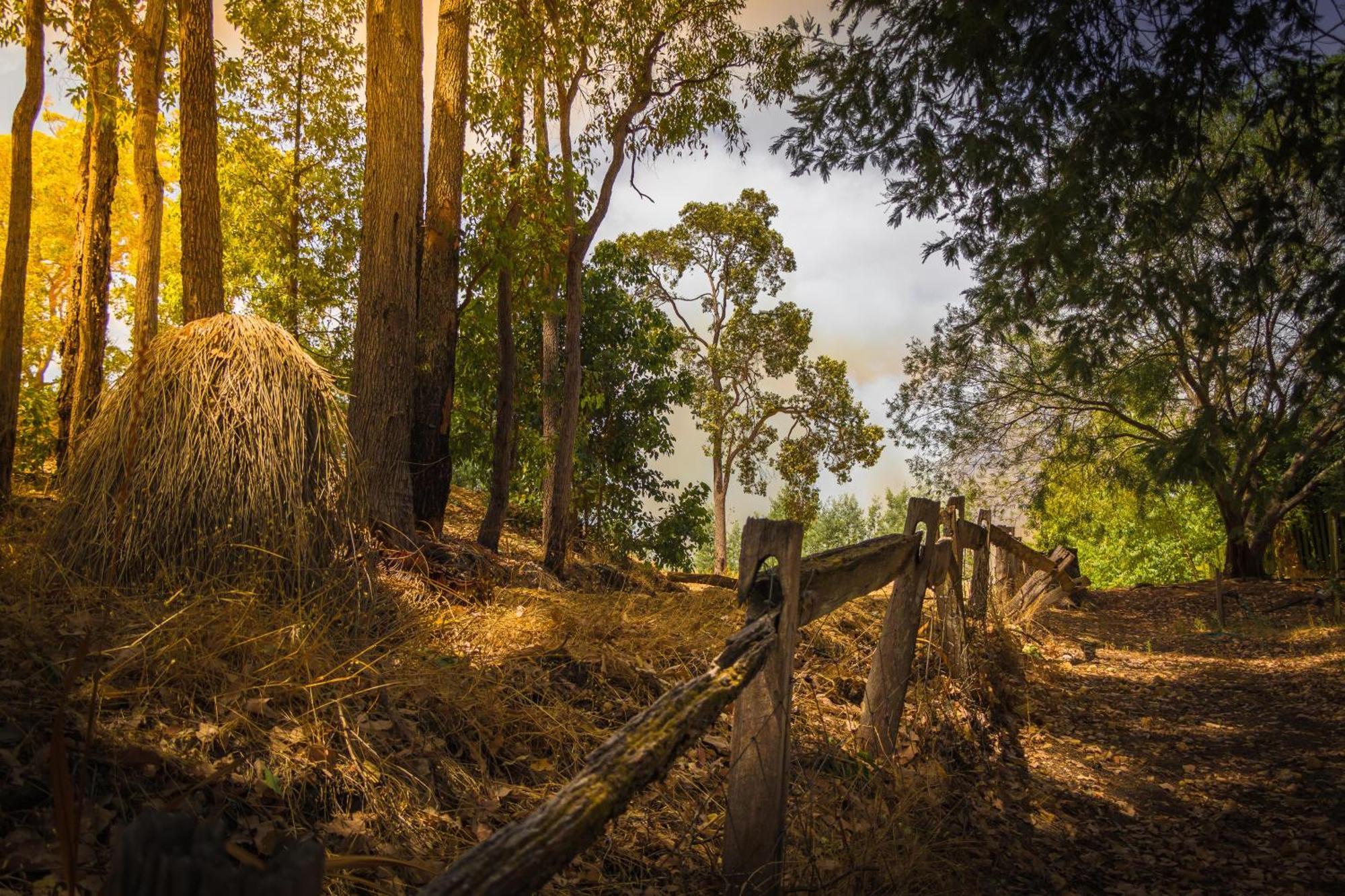 Holberry House Bed & Breakfast Nannup Bagian luar foto